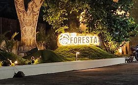The Foresta Resort ,Mulshi